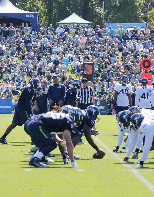 Celebrate the Seahawks