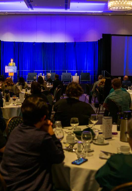 Team Bonding Ideas for Your Meeting/Conference in Nanaimo