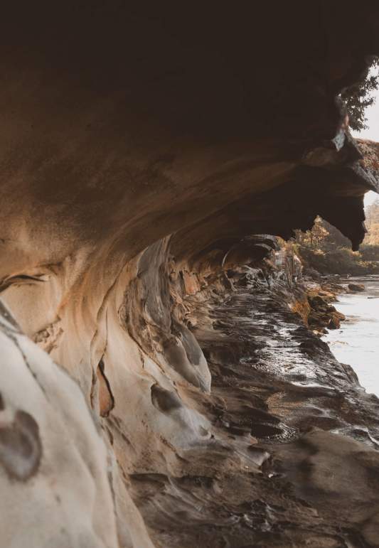 Regional Gems: Must-Do Day Trips From Nanaimo