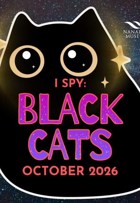 ISpyBlackCats
