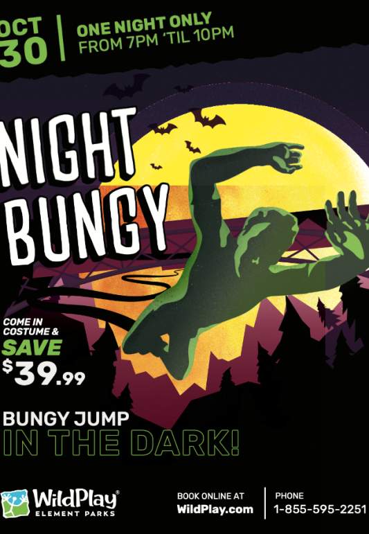 Night Bungy Poster