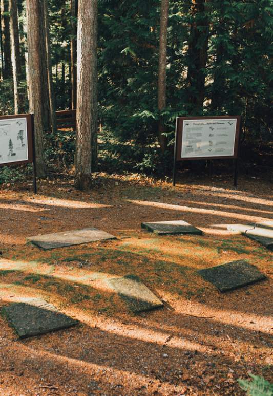 Driving Through History In Nanaimo