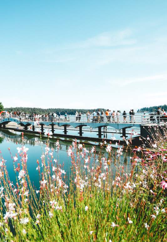 Savouring the Summer in Nanaimo