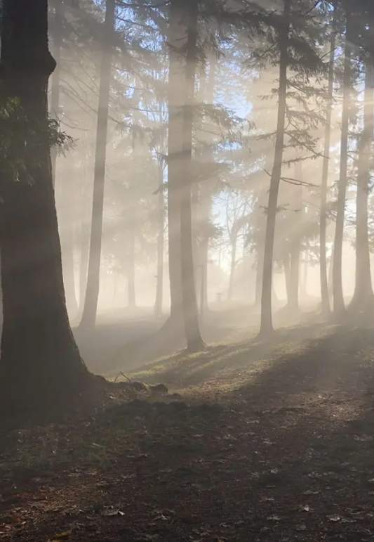 Nanaimo Disc Golf Club