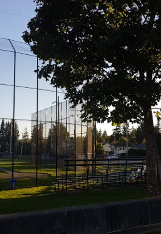 Robins Park