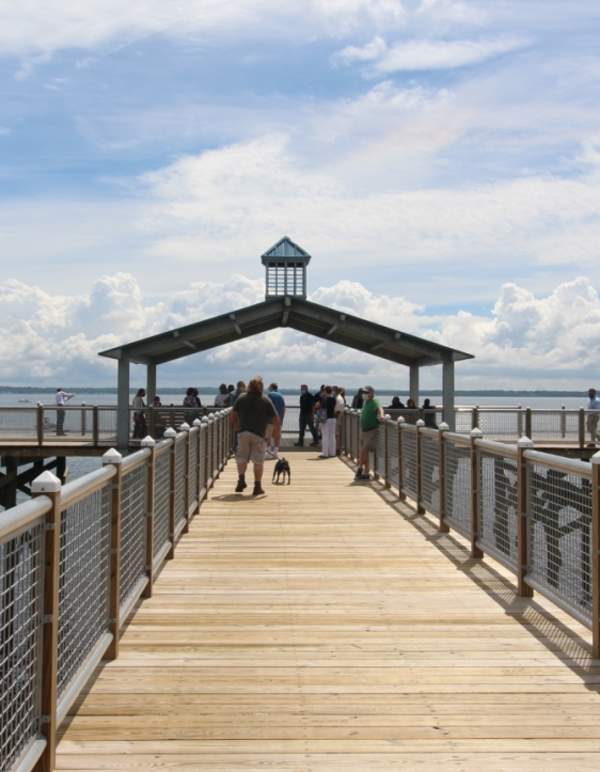 Top Dog-Friendly Destinations for Fun in the Outdoors in Warwick, RI