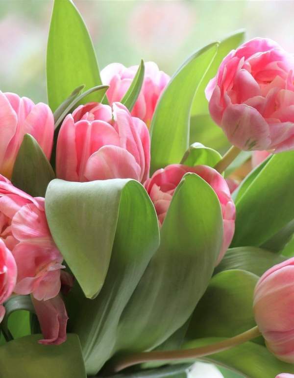 Warwick, RI Is the Place to be This Mother's Day!