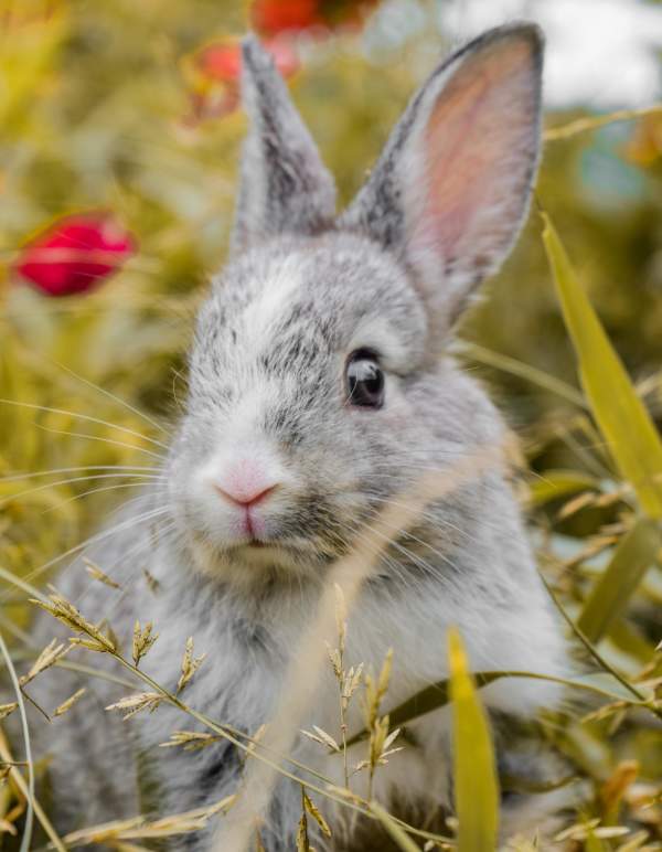 Hop on Over to Warwick, RI for All Things Easter!