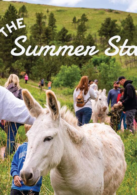 Summer Starts Here: Black Hills & Badlands in June