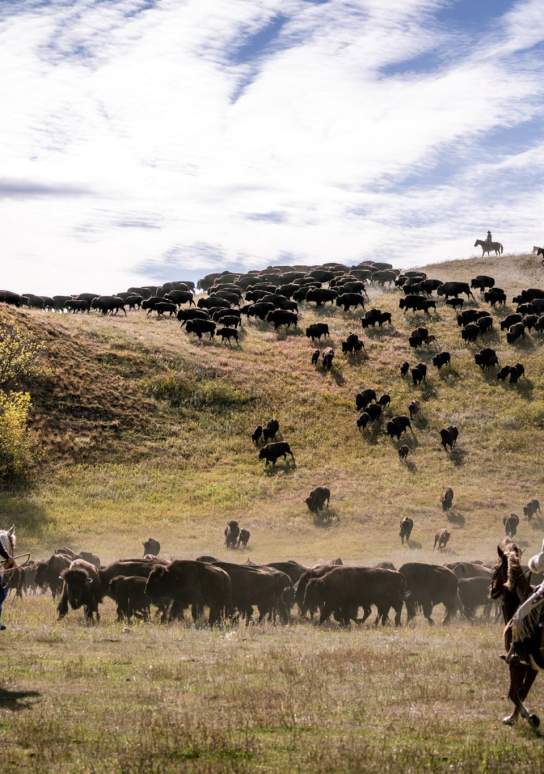 Roundup and Wind Down: The Black Hills & Badlands in September