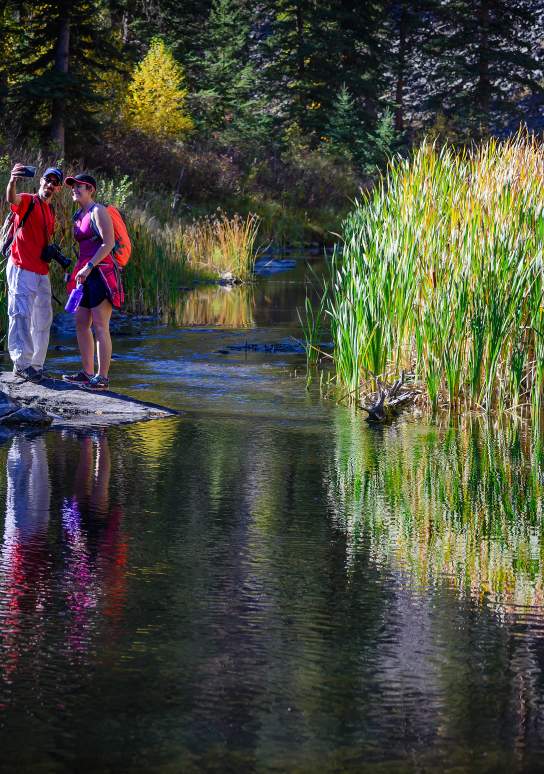 Your Guide to Fall Colors in the Black Hills and Badlands