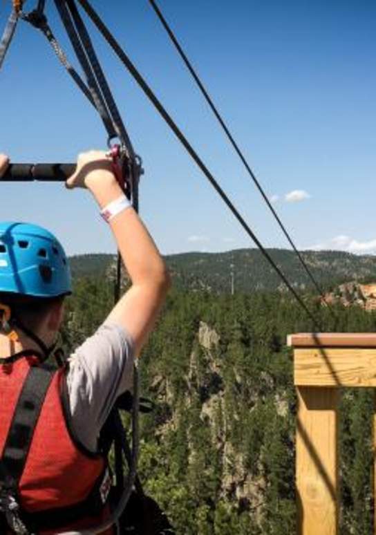 Up into the Tree Tops: Part 2