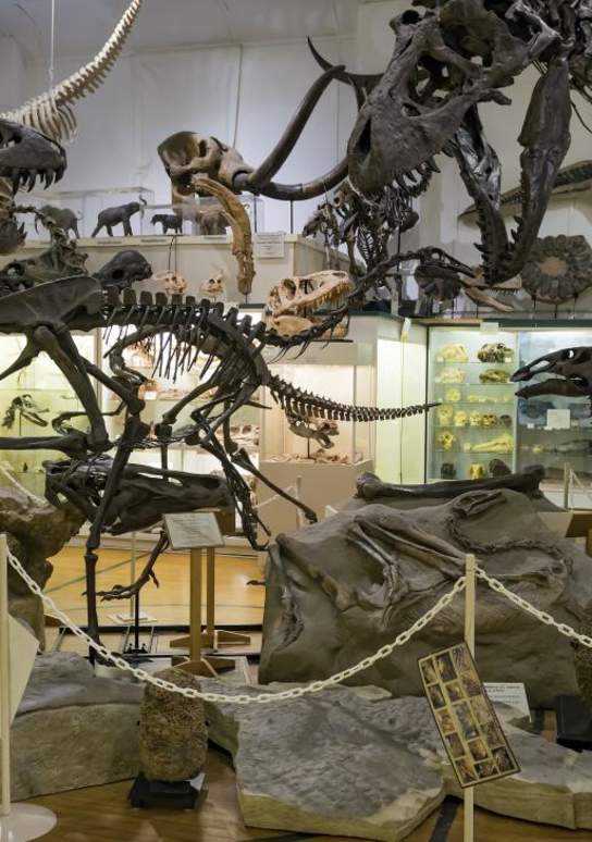 Mysteries at the Museums