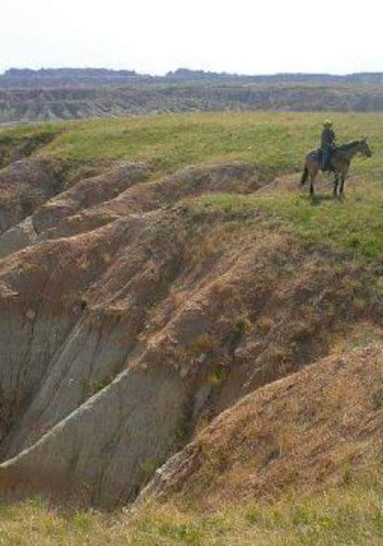 Saddle Up for Adventure in the Black Hills