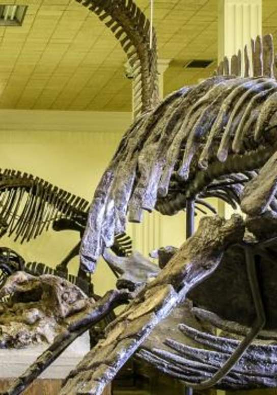 Mysteries at the Museum
