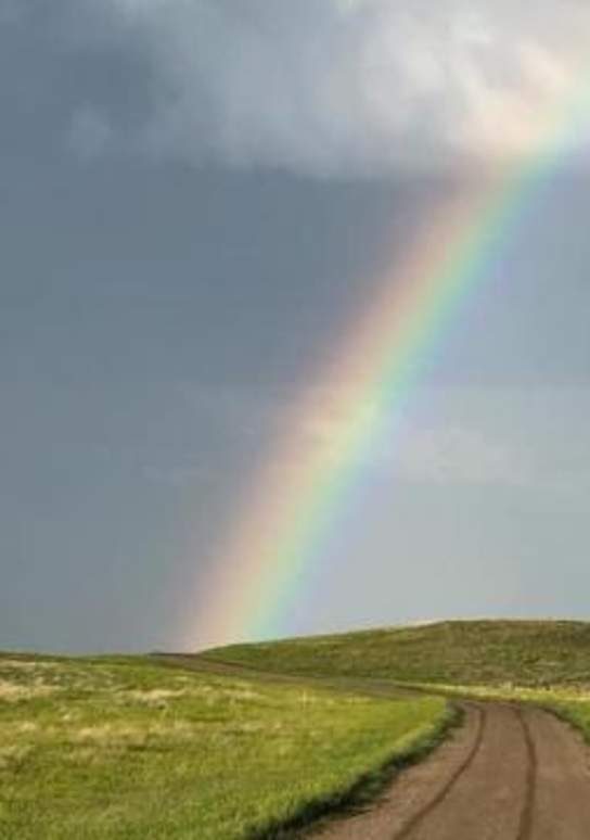 Looking to Relax at a Genuine Ranch on a Quiet Country Road?
