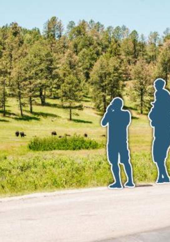 Picture Yourself — in Custer State Park