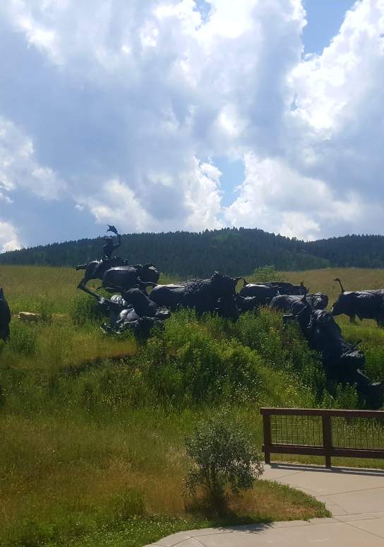 Tatanka - Story of the Bison