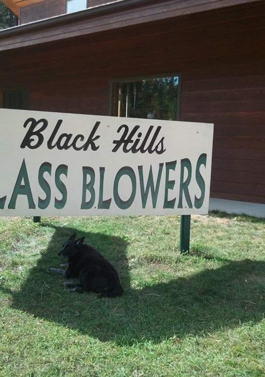 Black Hills Glass Blowers