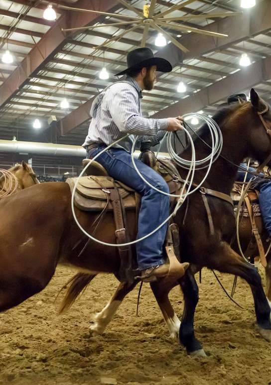 Black Hills Stock Show & Rodeo®