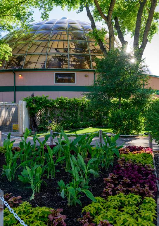 Reptile Gardens