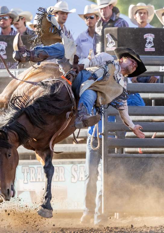Black Hills Roundup
