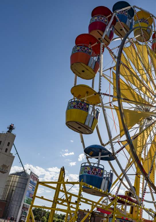Black Hills Roundup