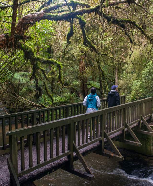 A couple walking towards the Purakaunui Falls in The Catlins.