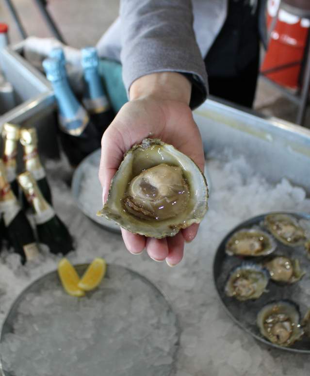 Bluff Oyster & Food Festival Southland, New Zealand