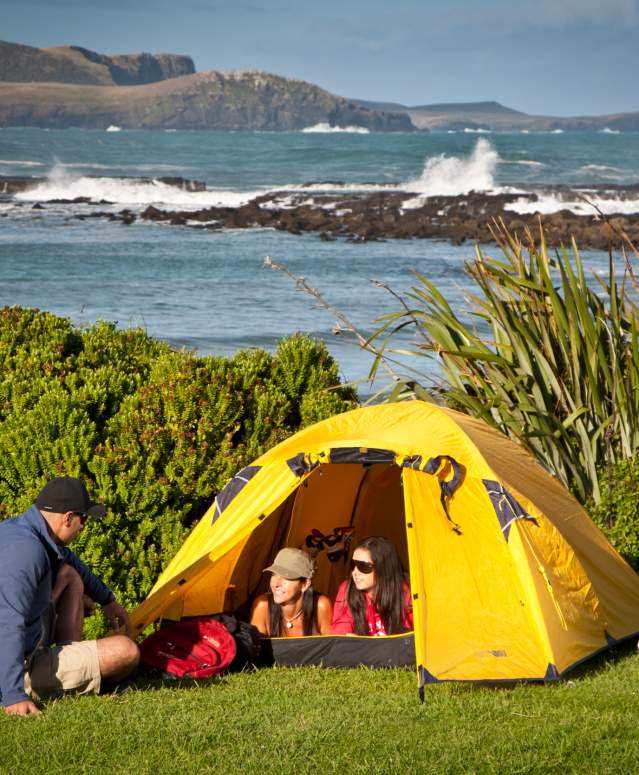 Camping in the Catlins