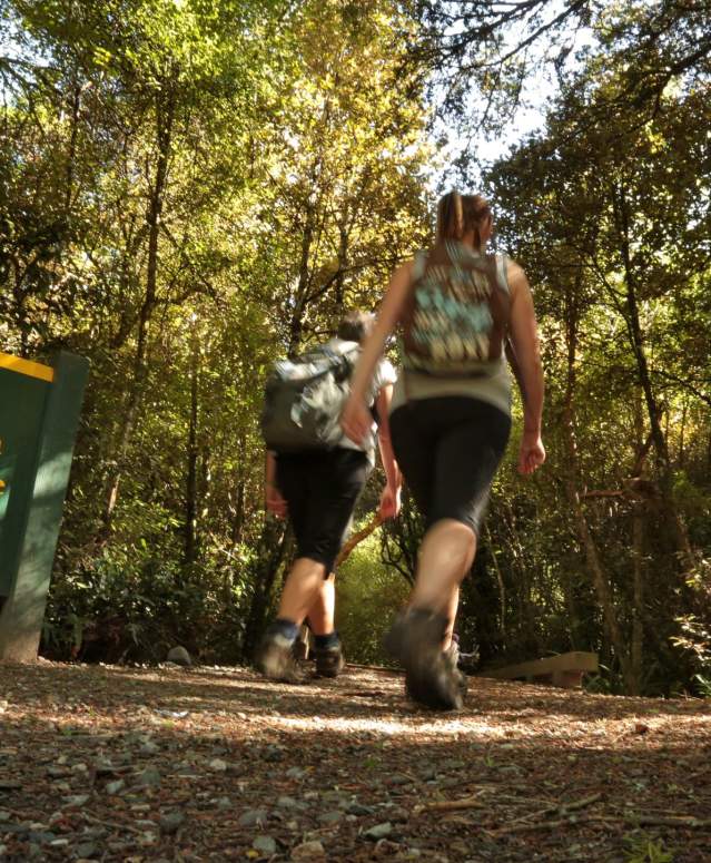 Walking in Dolamore Park Gore