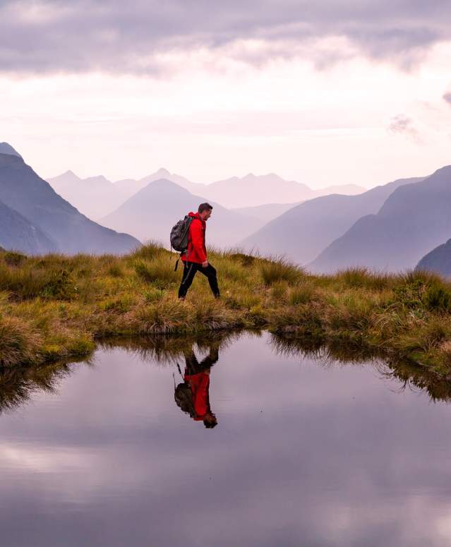 Dusky Sound, Fiordland