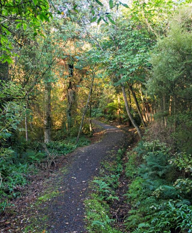 Riverton Walks Forest Hill