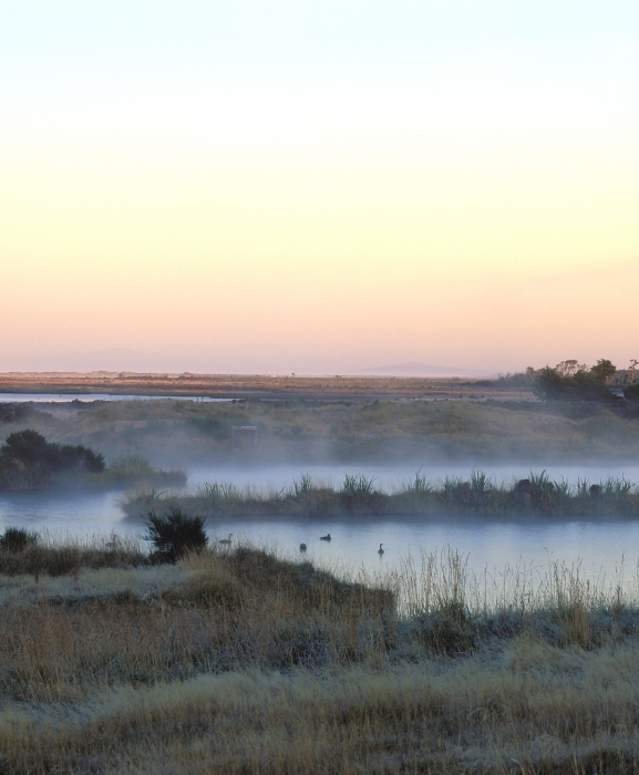 Nature The Catlins Southland, New Zealand