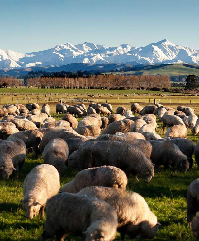 Takitimu Mountains - Southland, New Zealand
