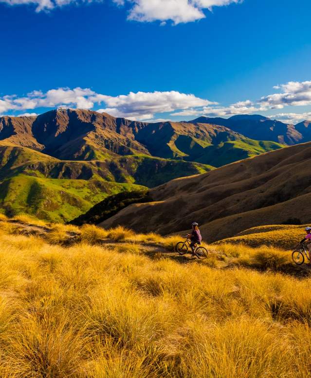 Welcome Rock Trails, Northern Southland