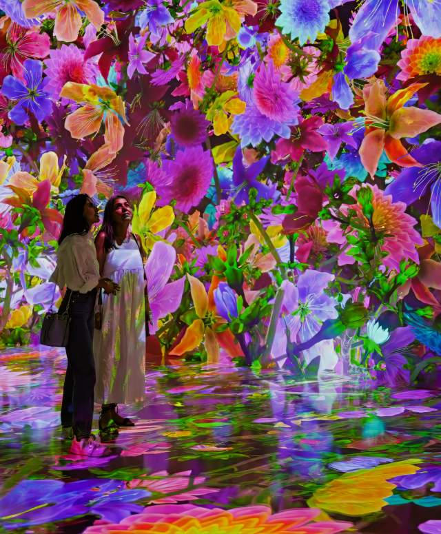 Blooming Wonders at ARTECHOUSE