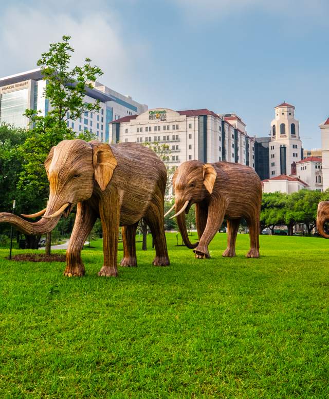 The Great Elephant Migration Comes to Hermann Park