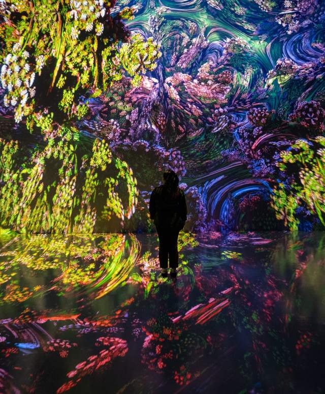 ARTECHOUSE Presents Fractal Worlds