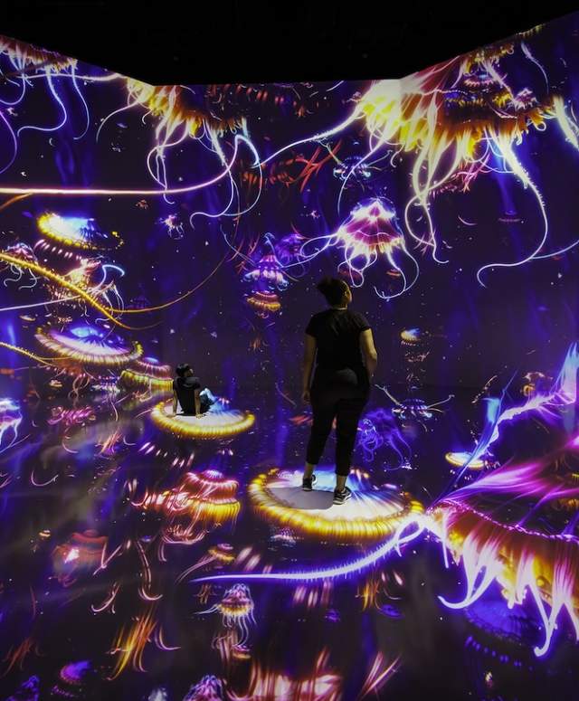 ARTECHOUSE presents Twilight Zone: Hidden Wonders of the Ocean