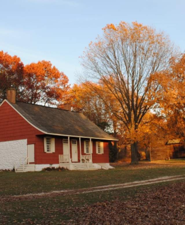 Fall Foliage Old Bethpage