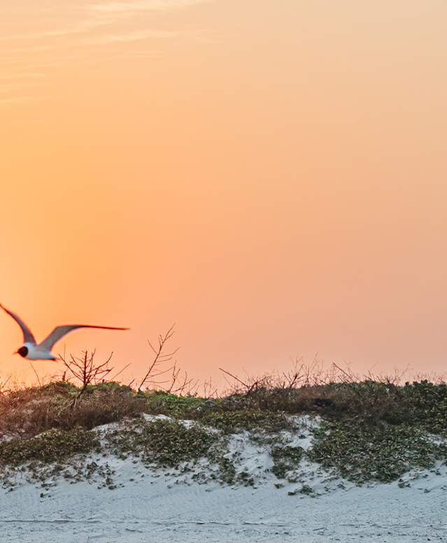 Fall Header Image