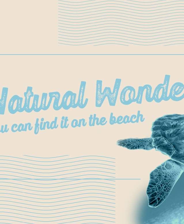 Natural Wonder Banner