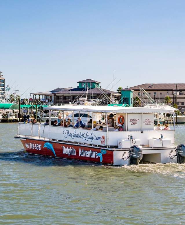 dolphin adventure scarlet lady