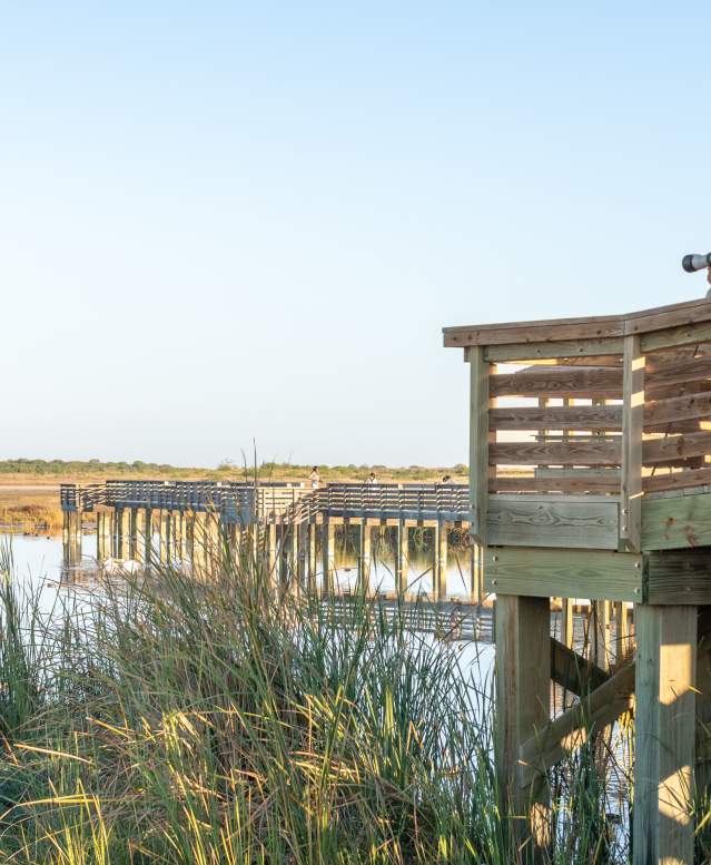 Man taking photos of birds in the birding center, standing on a pier.