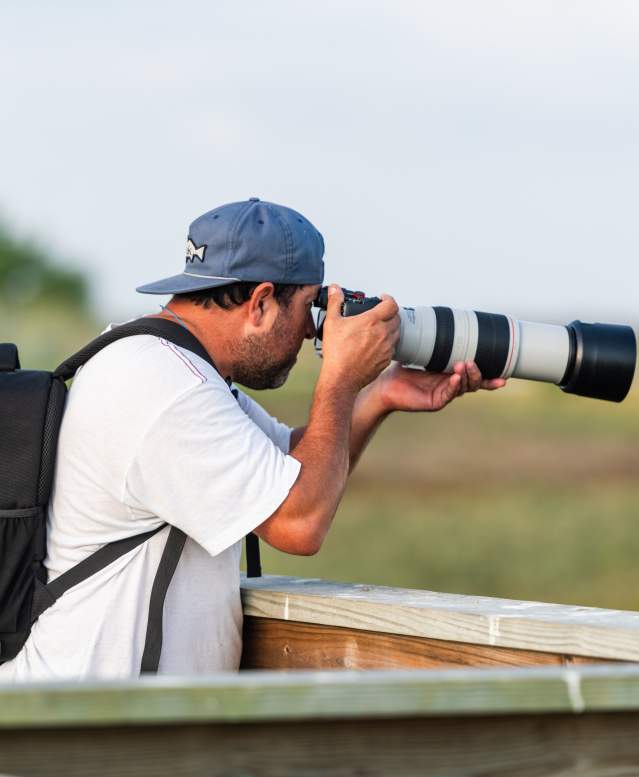 Birding