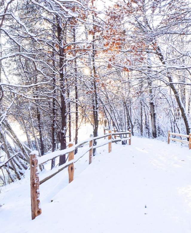 Winter hiking trail