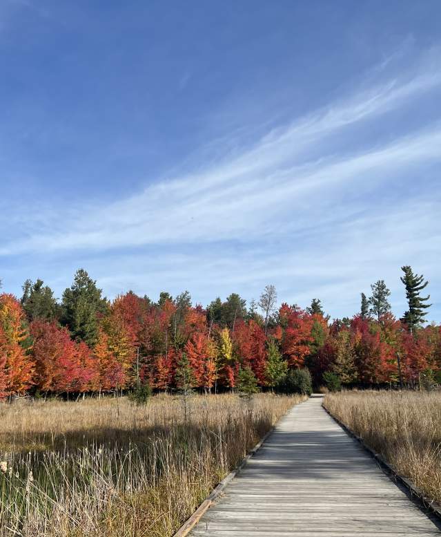 Schmeeckle Trail in the fall