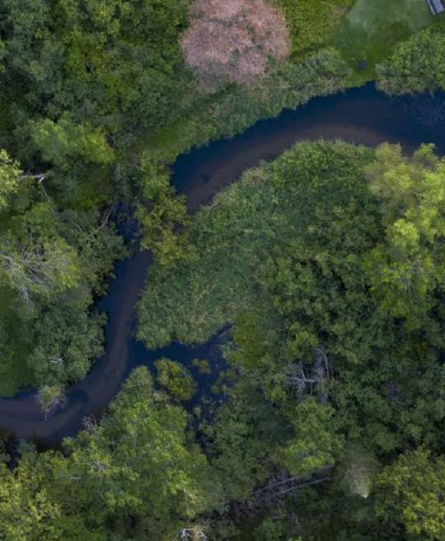 river, outdoors, trees