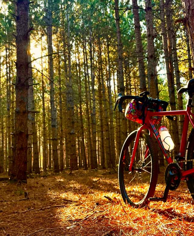 Insta-worthy Spots on the Green Circle Trail